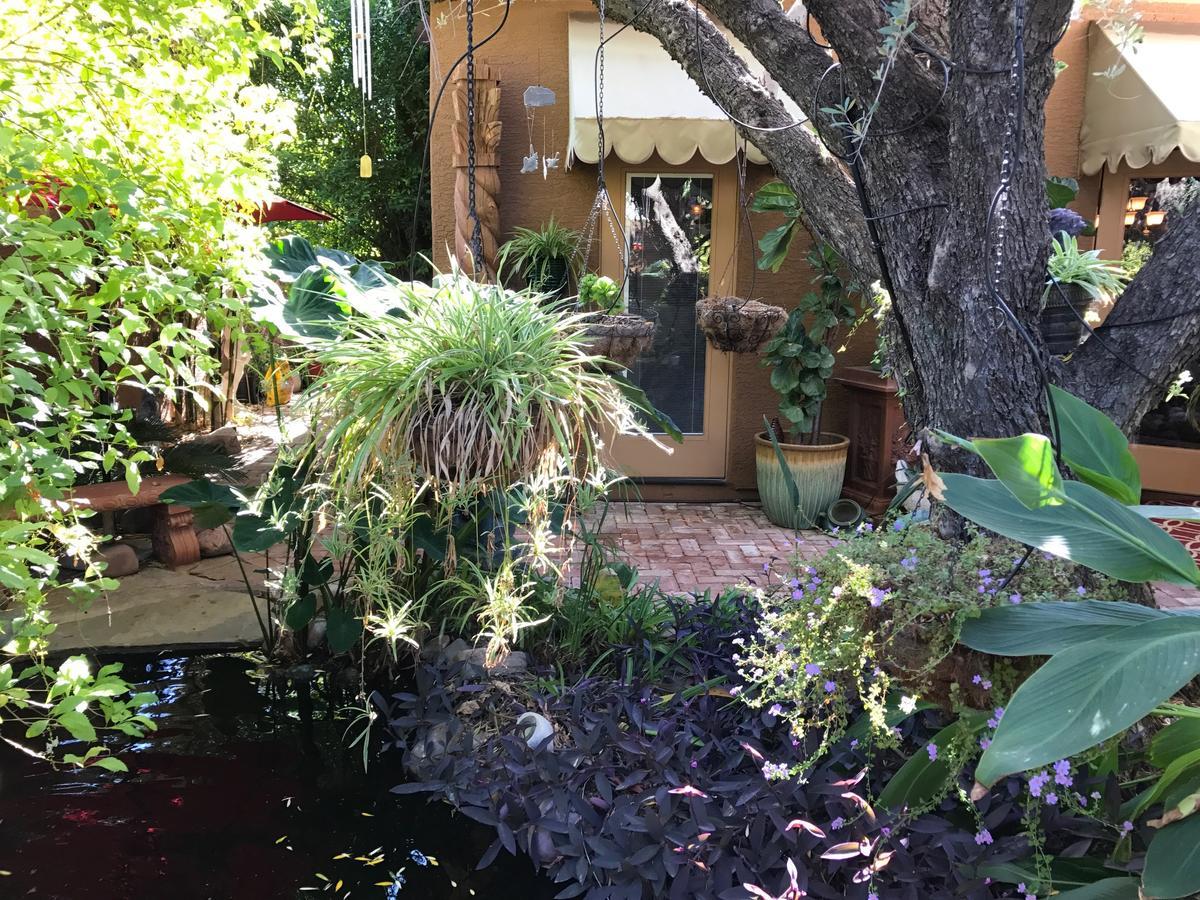 Don'S Elegante Bed & Breakfast Phoenix Eksteriør bilde